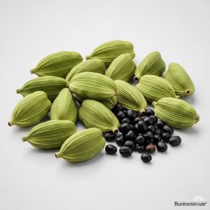 Premium Indian Green Cardamom Pods (Elaichi) for Global Export